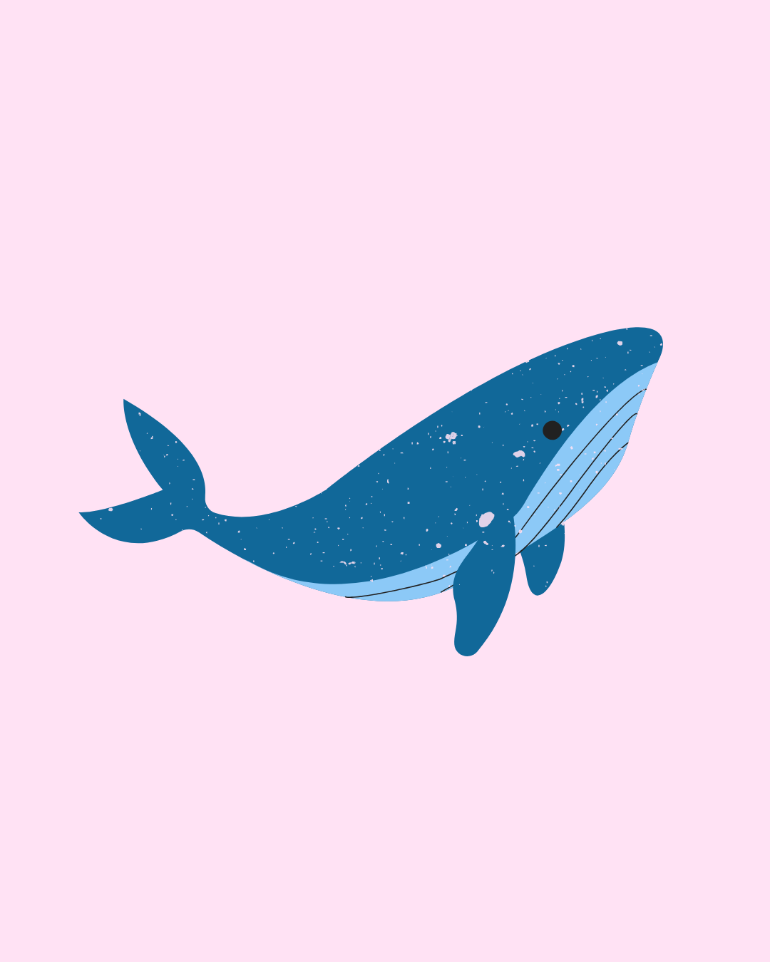 PrePrinted Collection